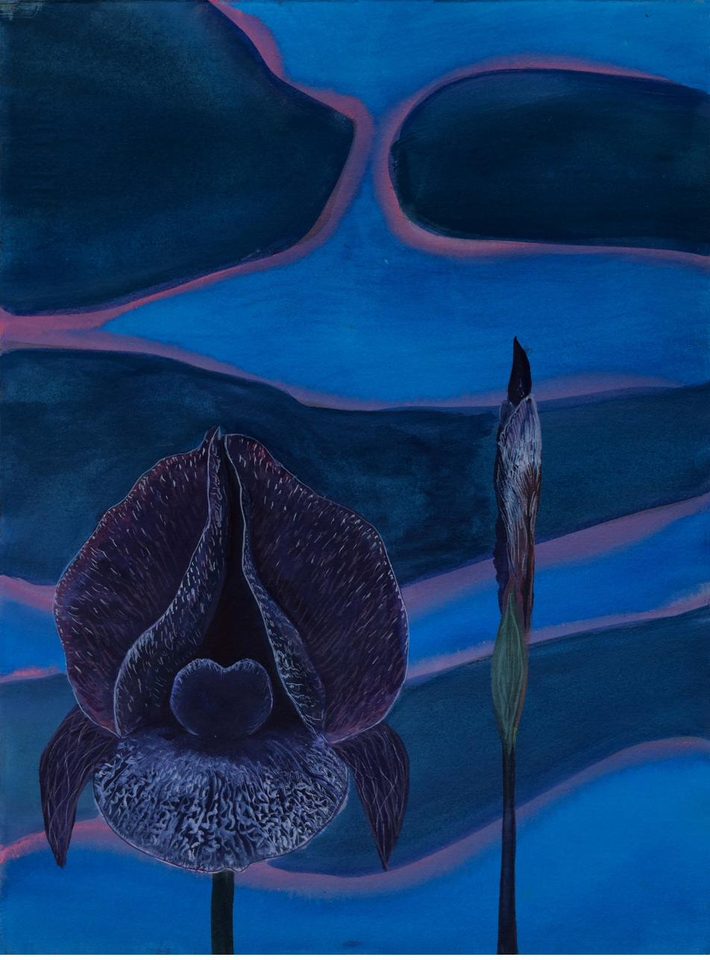 Painting by Nancy Diamond